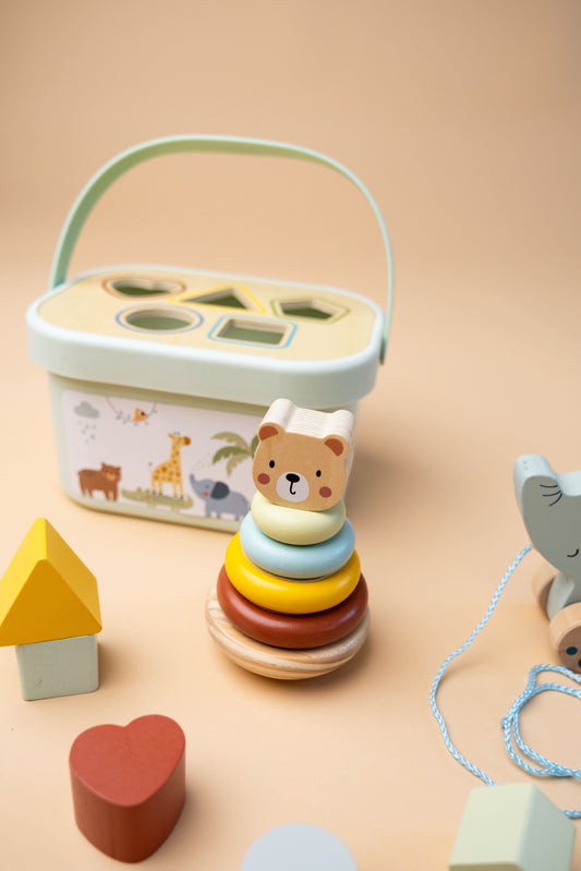 Medinis žaislų rinkinys „3 in 1 Box“